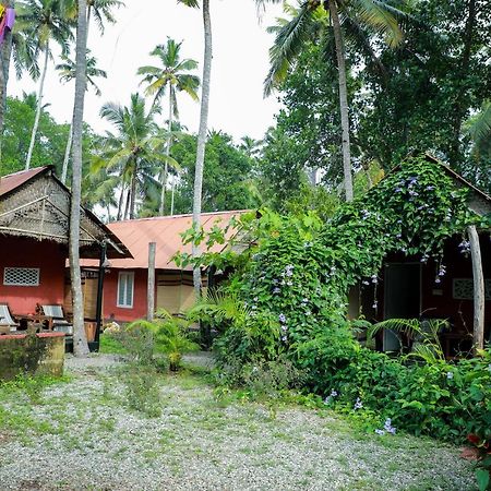 The Cliff Cottage 瓦尔卡拉 外观 照片