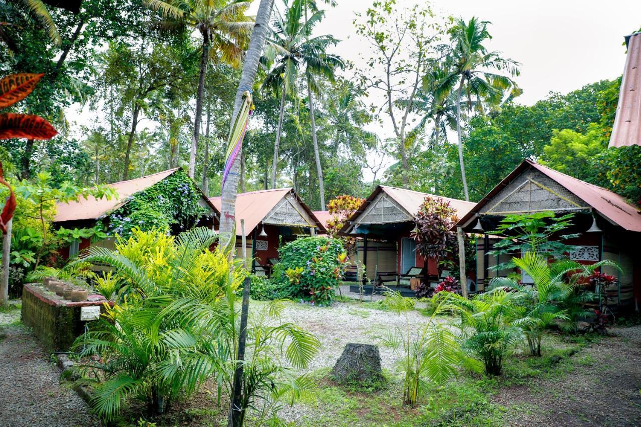 The Cliff Cottage 瓦尔卡拉 外观 照片