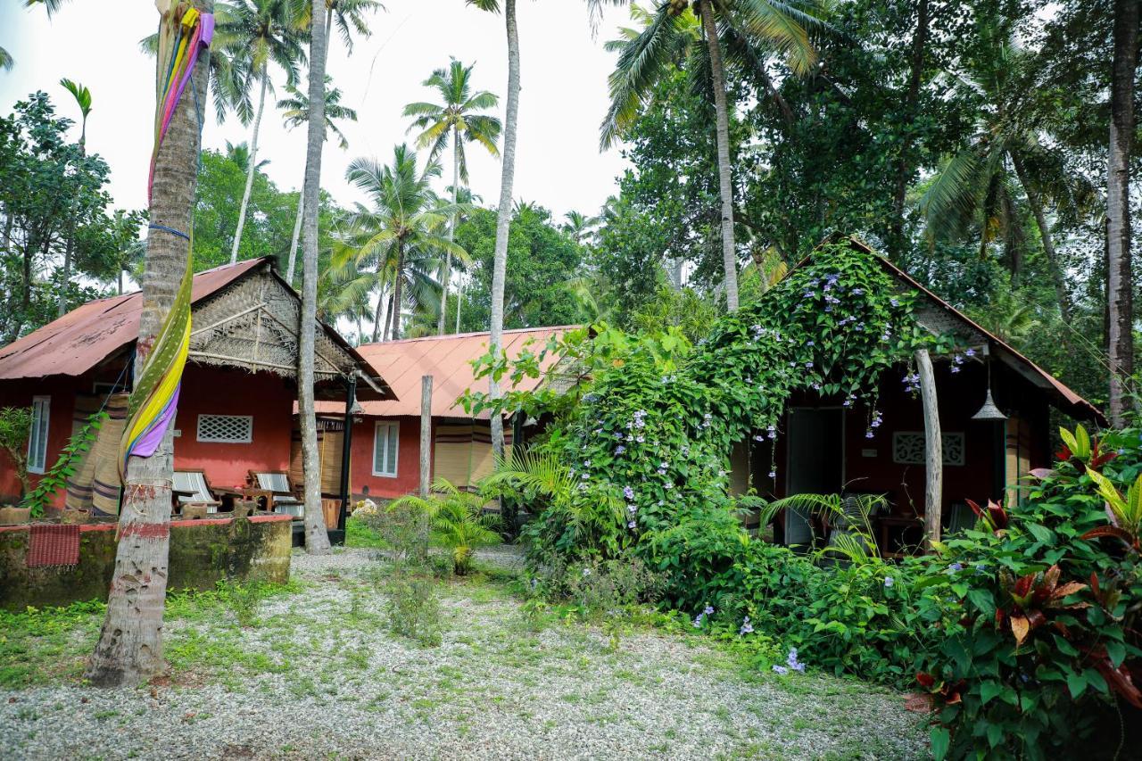 The Cliff Cottage 瓦尔卡拉 外观 照片