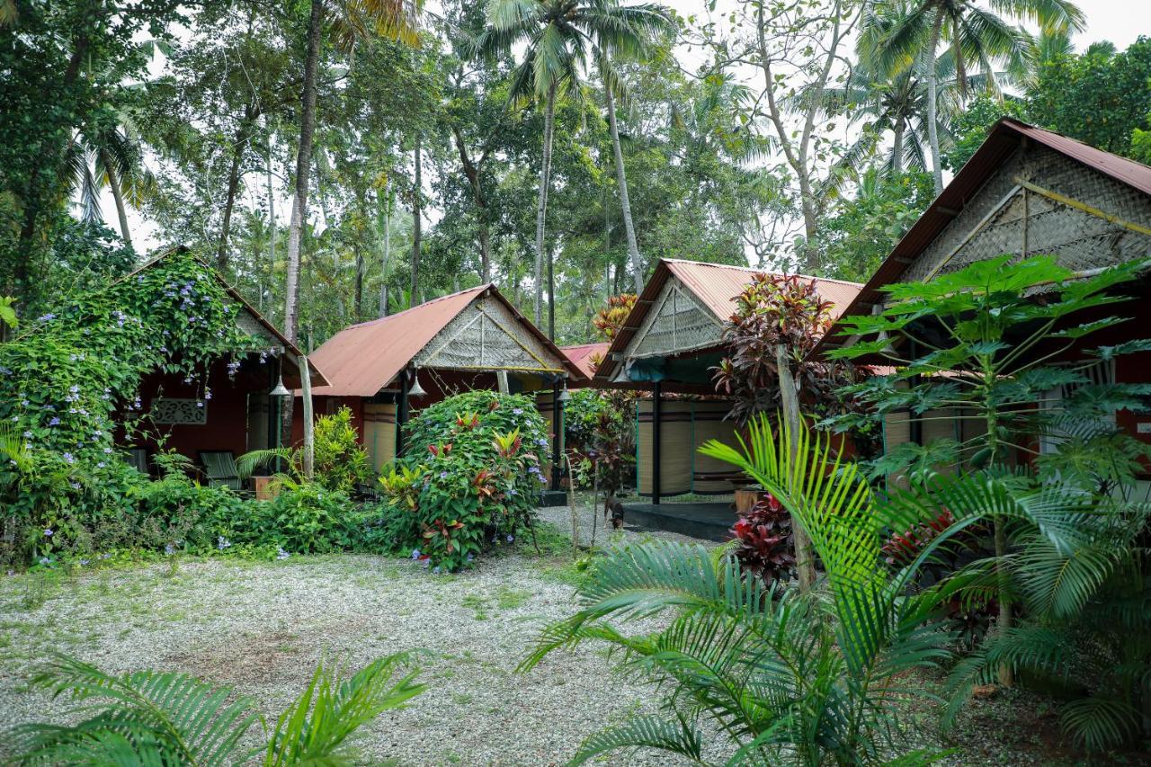 The Cliff Cottage 瓦尔卡拉 外观 照片